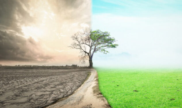Businesses To Float In Dry Season