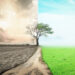 Flourishing Businesses To Float In Dry Season 5 Flourishing Businesses To Float In Dry Season