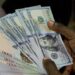 Naira Strengthens Across FX Markets As Speculators Lose
