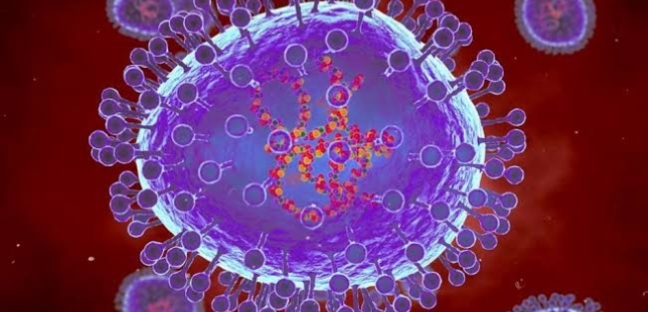 Avian Flu Outbreak In Kano 1 human metapneumovirus HMPV
