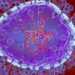HMPV: Experts Task Nigerians On Hygiene, Precautionary Measures Amid Rising Infections Worldwide 5 HMPV: Experts Task Nigerians On Hygiene, Precautionary Measures Amid Rising Infections Worldwide