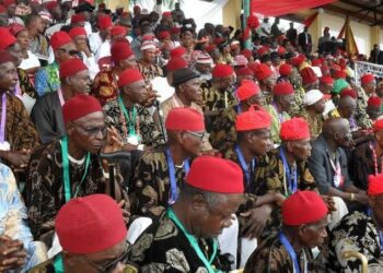 Tax Reform Bills: IYPF Urges Igbo Businesses To Relocate To South-East