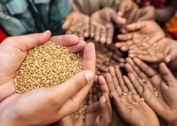 Preparing For Trump Deportation Copycats In Europe