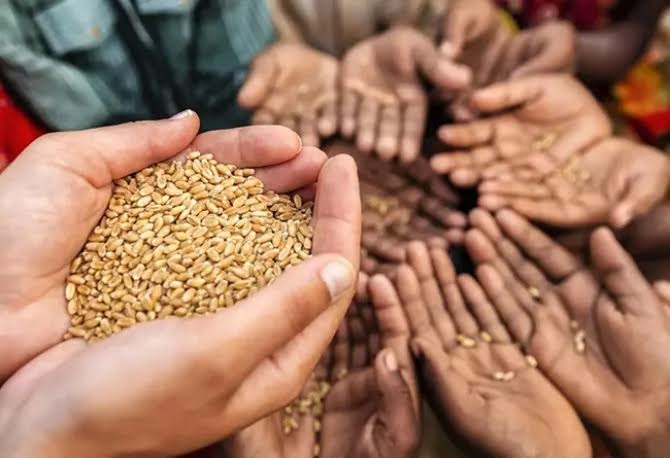 How To Tackle Climate Change, Food Insecurity, By Lawmaker Ugbor 1 images 9