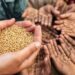 How To Tackle Climate Change, Food Insecurity, By Lawmaker Ugbor 5 Preparing For Trump Deportation Copycats In Europe