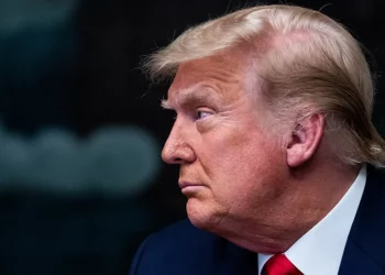 Trump Mulls 50% Ownership Of TikTok By US