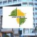 $5bn African Energy Bank Gets $1.25bn Equity Investment From Afreximbank 5 $5bn African Energy Bank Gets $1.25bn Equity Investment From Afreximbank