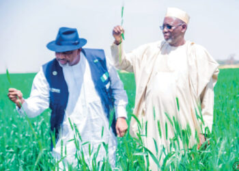 Jigawa Leads In National Food Security Drive