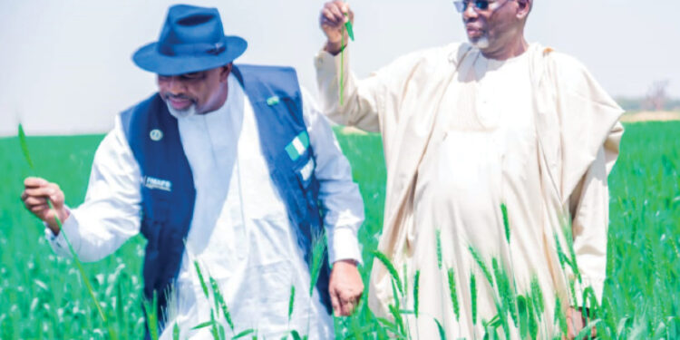 jigawa