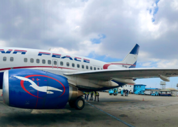 Passengers Face Flight Delay As Multiple Bird Strikes Hit Air Peace Aircraft