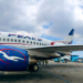 Passengers Face Flight Delay As Multiple Bird Strikes Hit Air Peace Aircraft 5 Passengers Face Flight Delay As Multiple Bird Strikes Hit Air Peace Aircraft