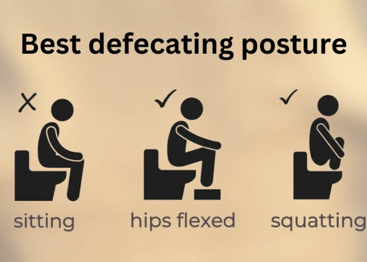 Why You Should Always Squat To Defecate