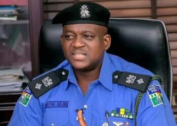 Abuja Law Firm Seeks US Visa Ban Against Police Spokesman Adejobi Over Alleged Abuses