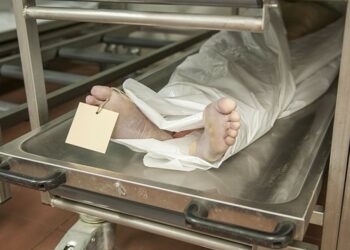Corpse In Homes: Health Experts Warn Of Looming Disease Outbreak