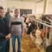 Livestock Ministry To Adopt Moroccan Technology For Dairy,  Beef Production