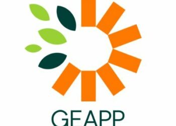 GEAPP, AFD Group Partner To Support Local Financial Institutions In Africa