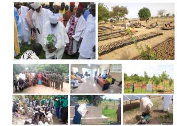 How NAGGW Is Transforming Lives In Bauchi
