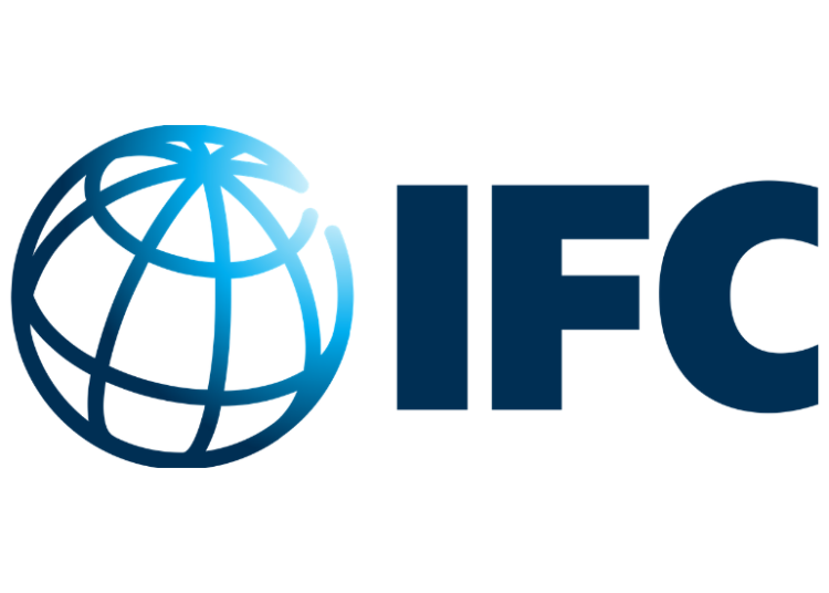 IFC Invests In Lagos Free Zone To Support Economic Diversification