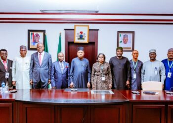 Nigeria Must Turn Debt To Economic Asset For Growth — VP Shettima