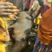 PICTORIAL: Houses, Livestock Razed As Fire Ravages Kano Village