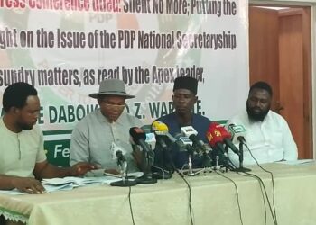 PDP Sec Tussle: Group Backs Anyanwu, Accuses Ugochinyere, Others Of Destabilising Party