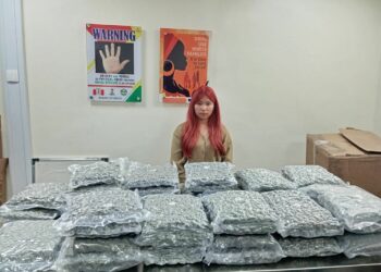 NDLEA Arrests 24-yr-old Thai Lady With Boxes Of Canabis At Lagos Airport