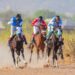 Tinubu’s Horse Maintains Lead At Yola International Derby