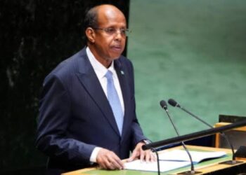 ‘Unite Africa, Resist Pro-West Agenda’, Gwarzo Urges New AU Chair