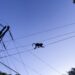 Monkey Throws Sri Lanka Into Darkness 9 Monkey Throws Sri Lanka Into Darkness