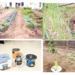 NAGGW, UNEP, GEF Launch Landmark Project To Restore 5,500 Hectares of Degraded Land 5 A Peep Into NAGGW’s Interventions In Sokoto