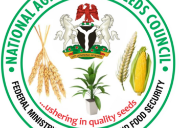 Stakeholders Push For Seed Policy To Boost Food Security