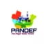 PANDEF Makes Case For South-South Commission