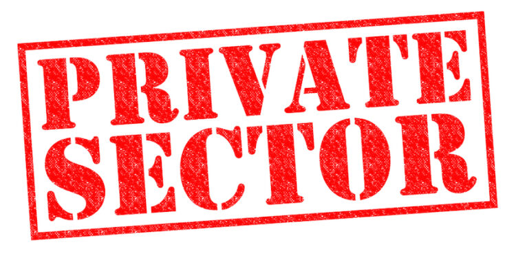 Private Sector