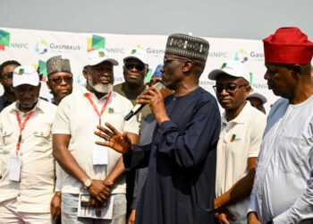 Energy Security, Key Consideration Of Gasnexus-NNPC Gas Projects – Ezeala