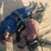 Police Kill 2 Bandits In Bauchi Forest