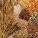 Experts Warn Of Foreign Dominance In Nigeria’s Food Sector