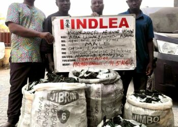 NDLEA Busts Trans-border Drug Cartel, Arrests 4 Members In Anambra, Nasarawa