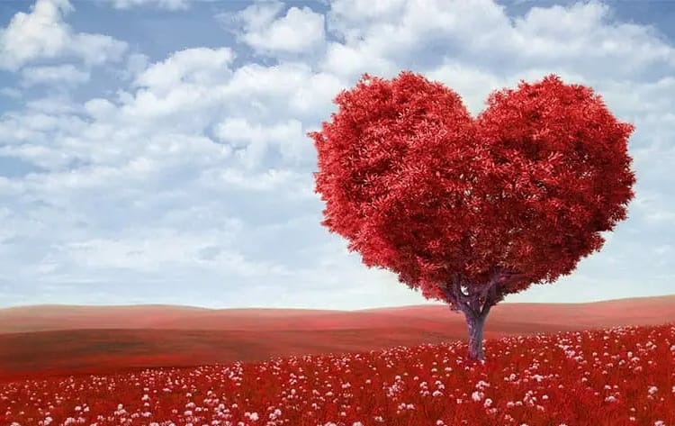 QNET Strengthens Community Bond With Engaging Valentine’s Day Radio Show 1 WhatsApp Image 2025 02 19 at 20.57.29
