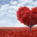 QNET Strengthens Community Bond With Engaging Valentine’s Day Radio Show