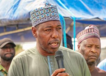 Why We Pay Scholarship Funds To Institutions’ Accounts – Borno Govt