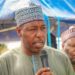 Why We Pay Scholarship Funds To Institutions’ Accounts – Borno Govt