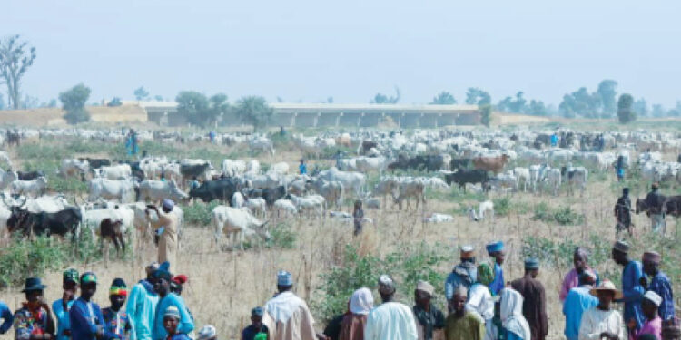 Digital Financial Inclusion