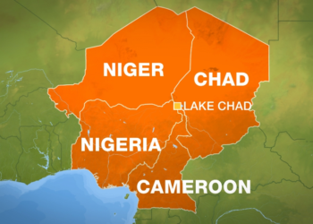 Address Challenges Facing Lake Chad Basin Now, CSOs Tell 4 Countries 
