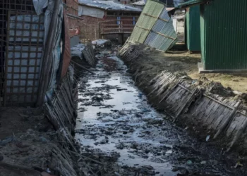 Northern States Urged To Tap Faecal Sludge For Energy, Farming