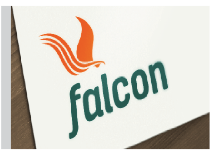 falcon sustains gas infrastructure