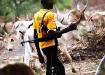 Suspected Herders Kill 5 Farmers In Benue