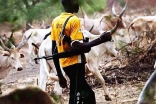 2 Butchered In Farm By Herders In Etsako West LGA 1 herder