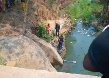 Suspected Mentally-ill Woman Jumps Into River, Dies In Ekiti