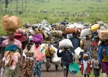FG, UNHCR Set To Repatriate Nigerians In Cameroon, Chad