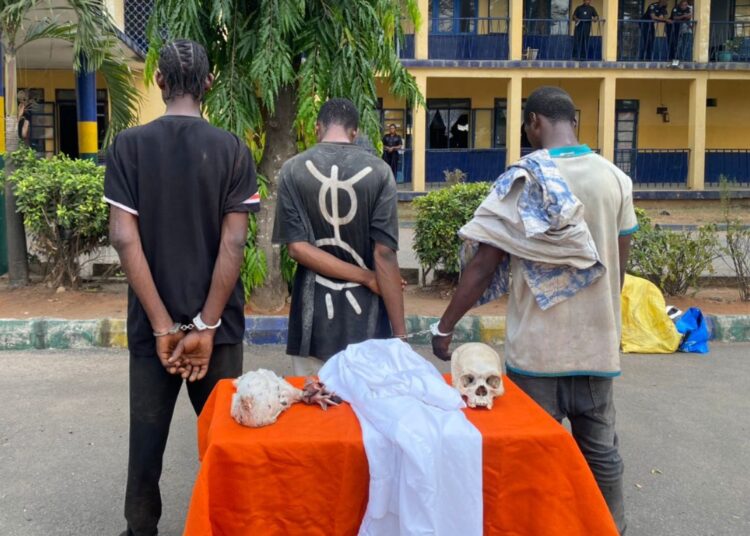 PolicePolice Arrest 3 Suspects With Human Skull In Imo